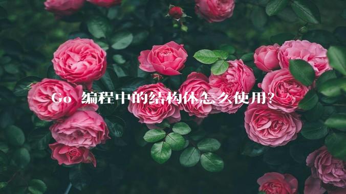 Go 编程中的结构体怎么使用？