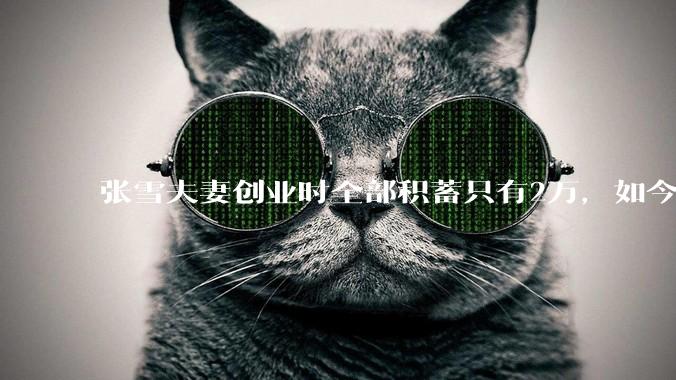 张雪夫妻创业时全部积蓄只有2万，如今草根逆袭身价上亿！ - *