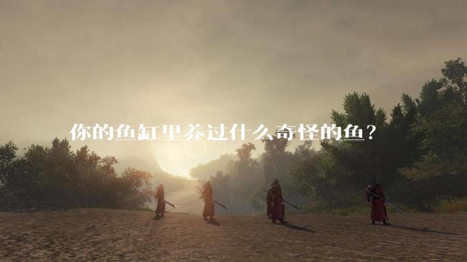 你的鱼缸里养过什么奇怪的鱼？