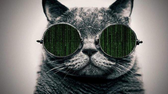 <b>分享一下你知道的哪些宝藏网站？</b>